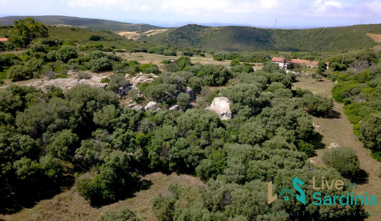 Country-Home-For-Sale-Aglientu-Northern-Sardinia