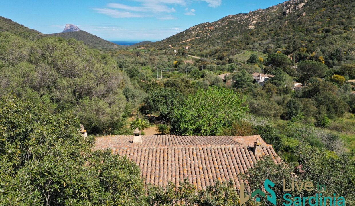Country-Home-For-Sale-Loiri-Porto-San-Paolo-Sardinia