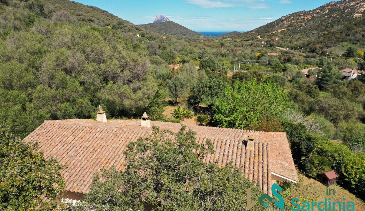 Country-Home-For-Sale-Loiri-Porto-San-Paolo-Sardinia (9)