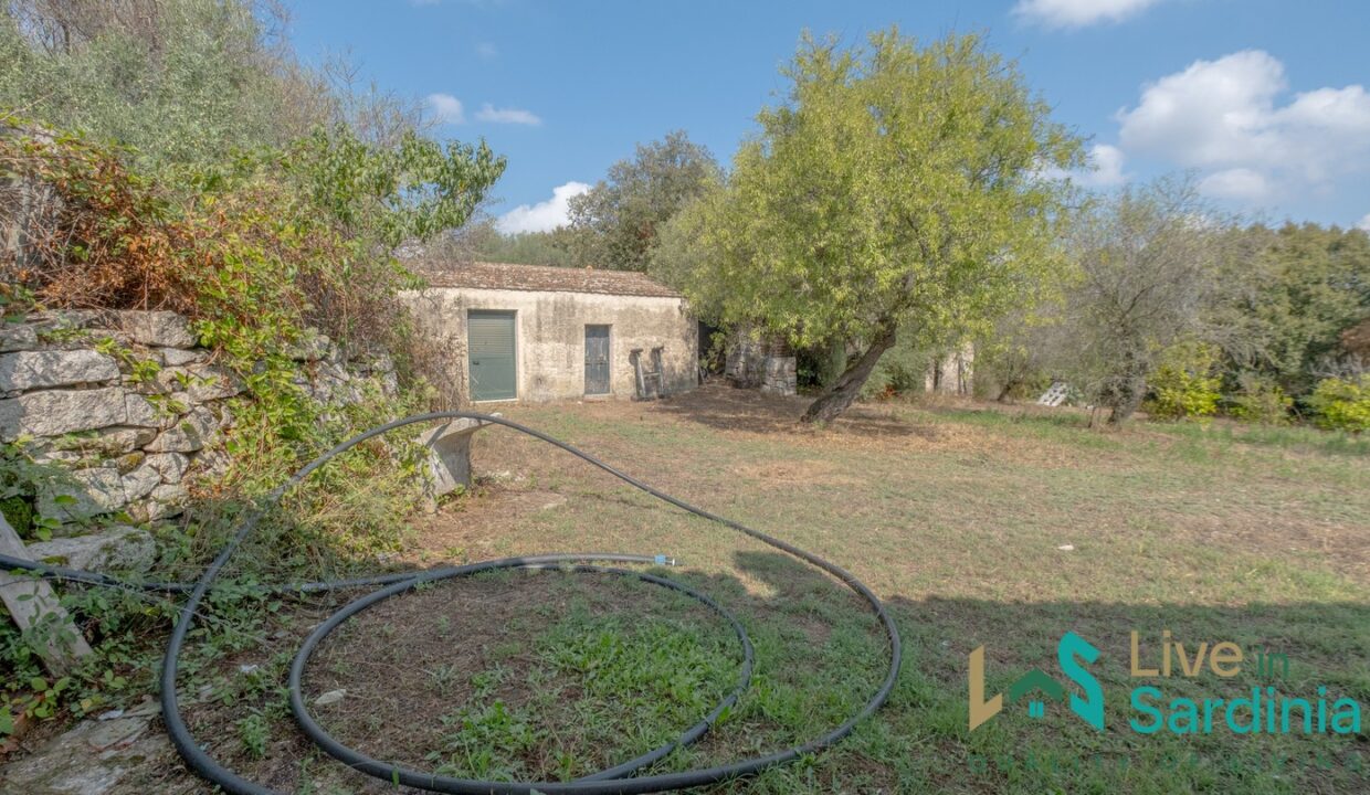 Country-Home-For-Sale-Monti-Sardinia