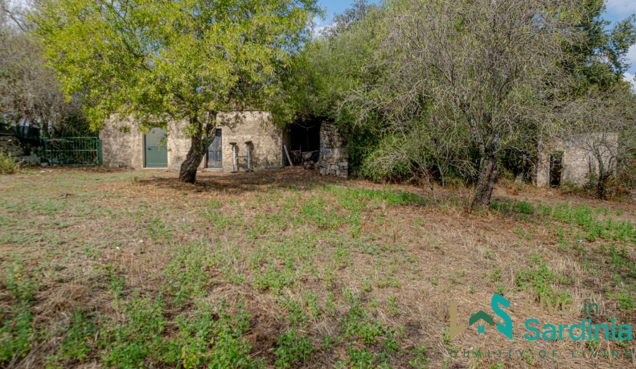 Country-Home-For-Sale-Olbia-Sardinia