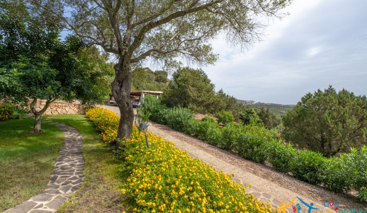 Country-House- For-Sale-San -Pantaleo (82)