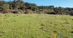 Country House for Sale in Calangianus ref.Tracchetta