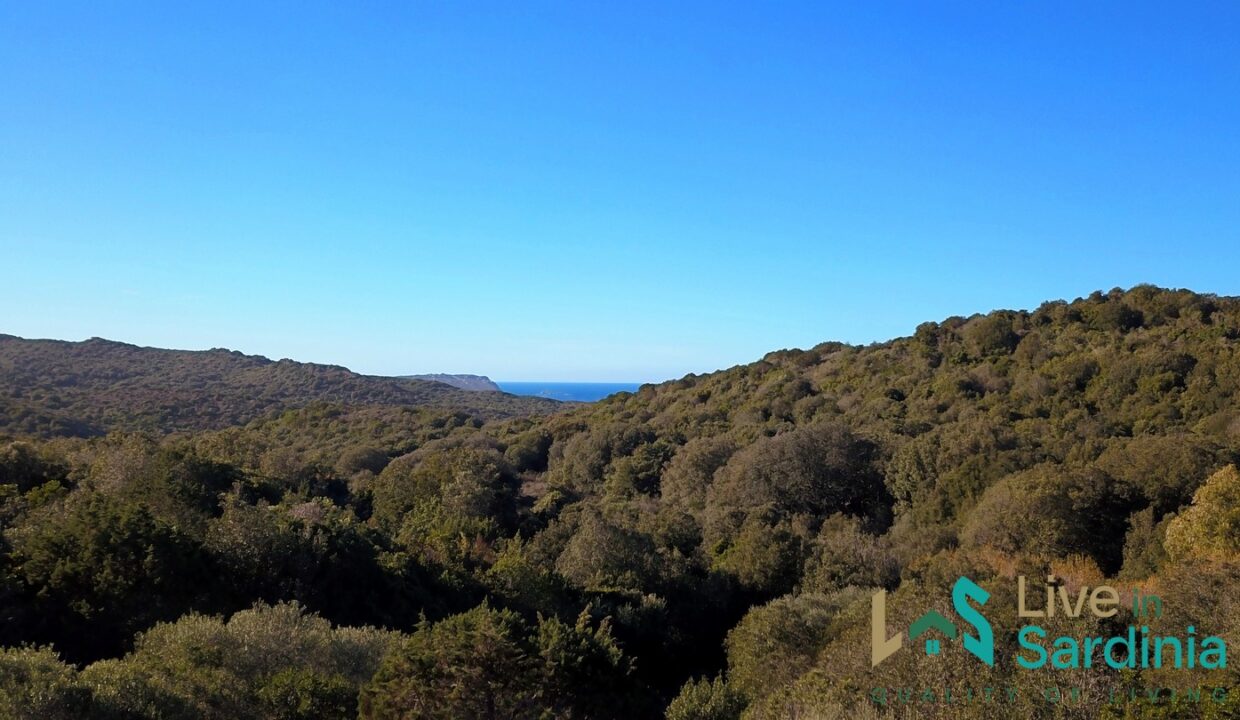 Countryhome-For-Sale-Santa-Teresa-Di-Gallura