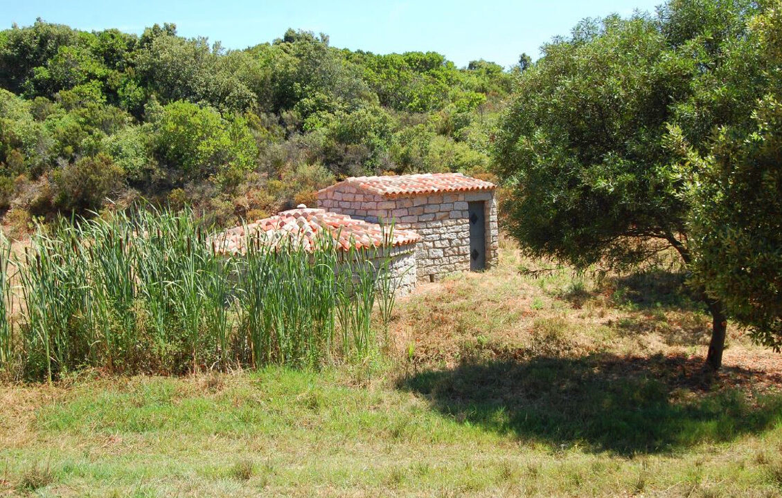 Countryhome-For-Sale-Santa-Teresa-Di-Gallura