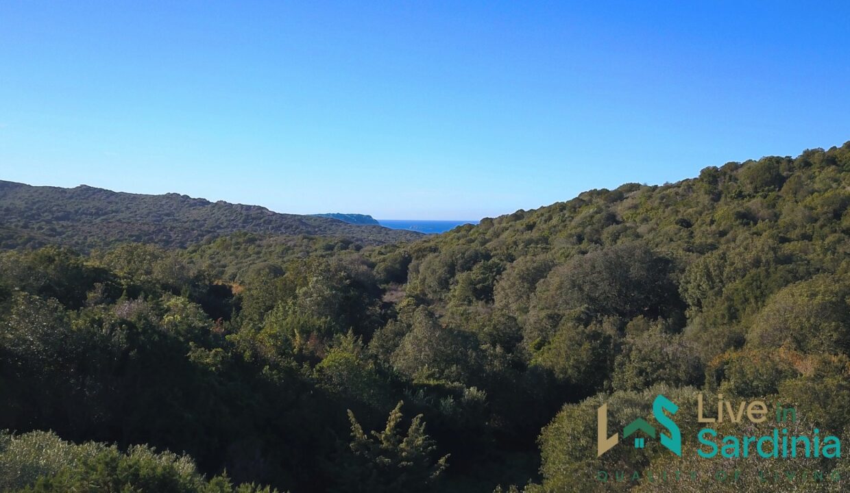 Countryhome-For-Sale-Santa-Teresa-Di-Gallura