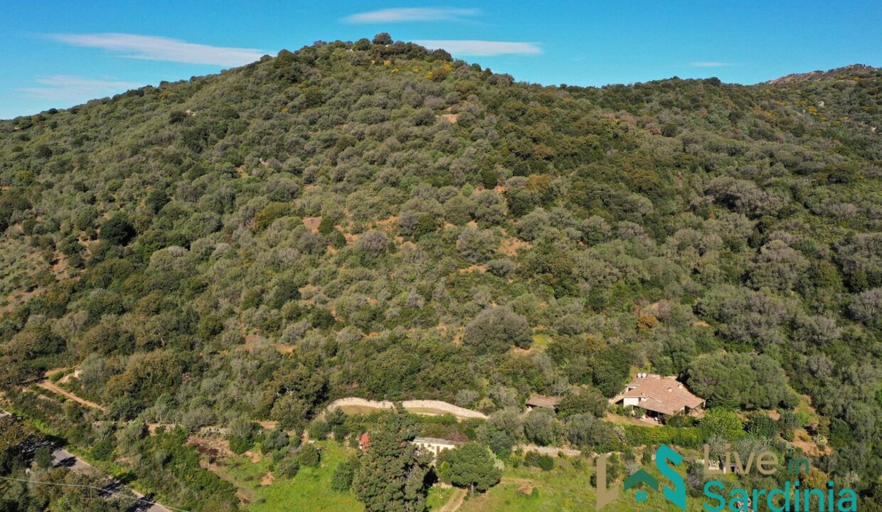Property-For-Sale-Loiri-Porto-San-Paolo