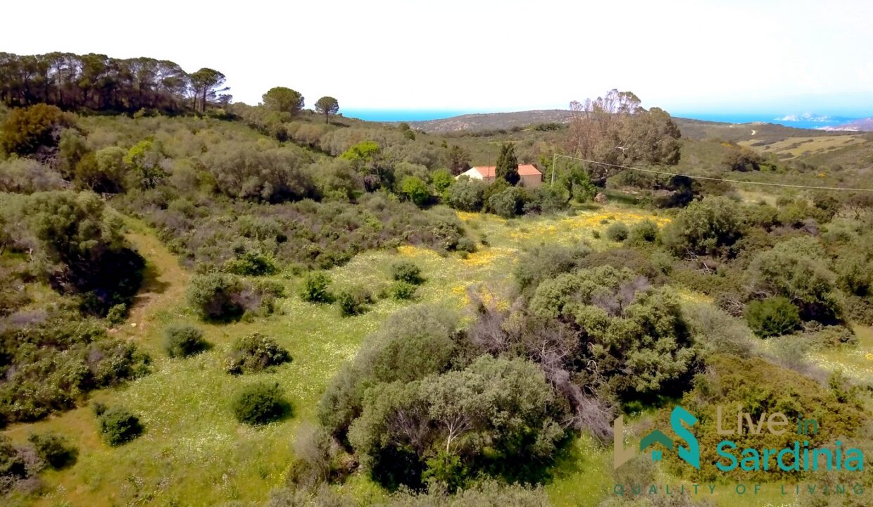 Country-Home-For-Sale-Aglientu-Northern-Sardinia