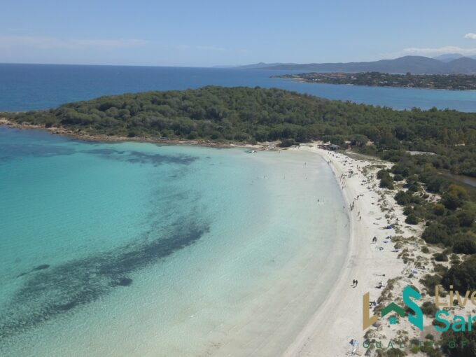 Superb Villa For Sale Porto Rotondo Sardinia