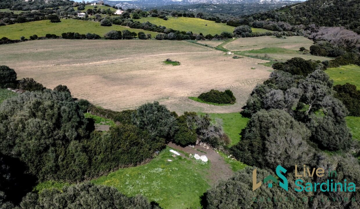 Property-For-Sale-Sardinia-Italy