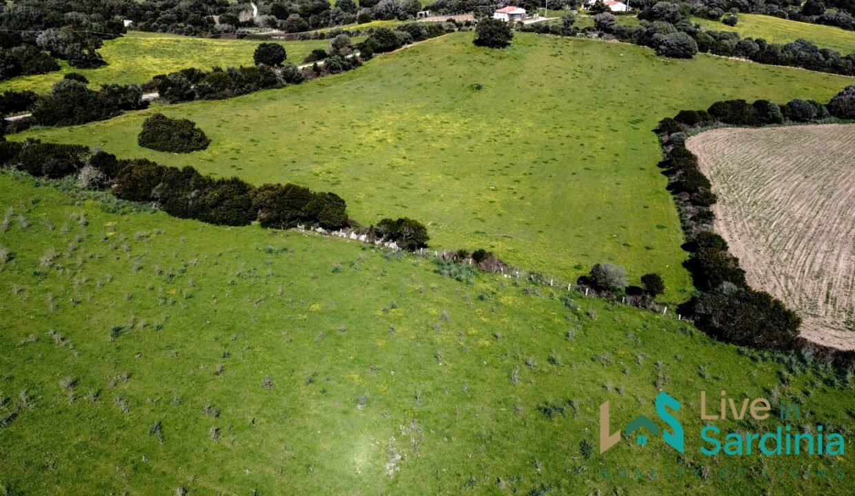 Property-For-Sale-Sardinia-Italy
