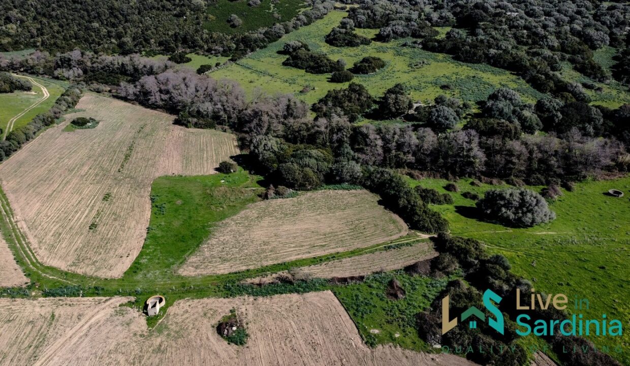 Property-For-Sale-Sardinia-Italy