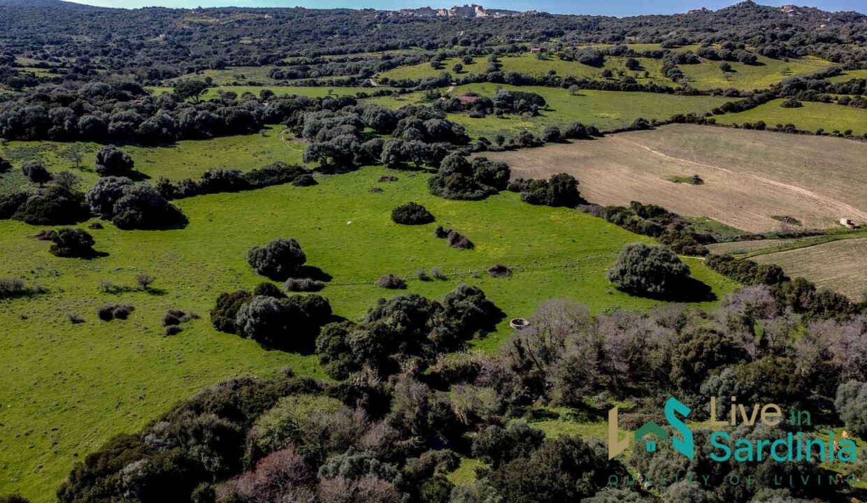 Property-For-Sale-Sardinia-Italy