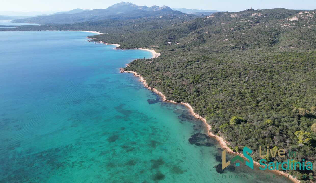 Country-Homes-For-Sale-Porto-Cervo