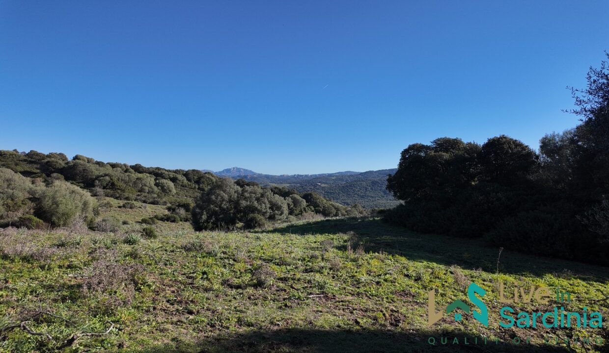 Farmhouse-For-Sale-Arzachena