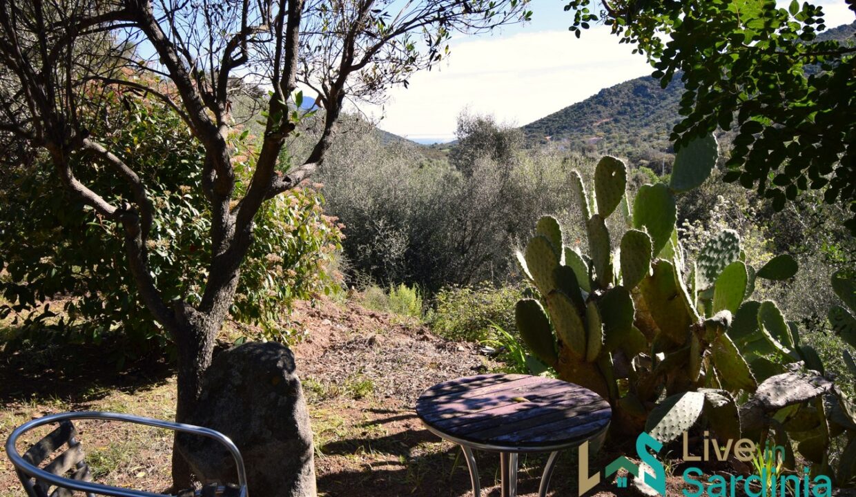 Property-For-Sale-Loiri-Porto-San-Paolo
