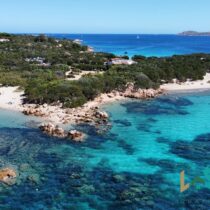 Olbia Homes For Sale