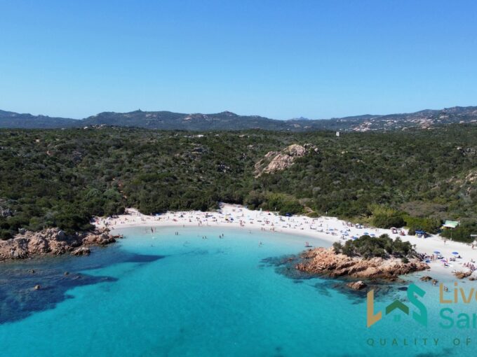 Vineyard And Farmstead For Sale In Sardinia