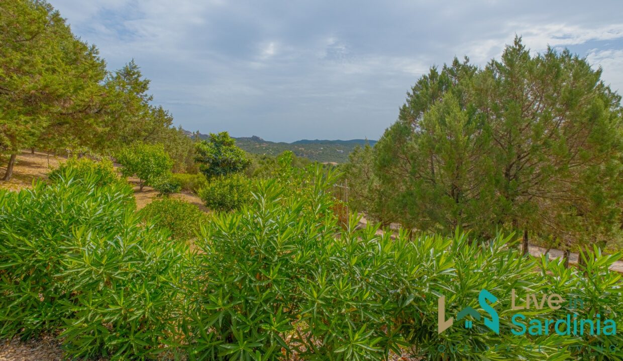 Villa-For-Sale-With-Pool-Sardinia