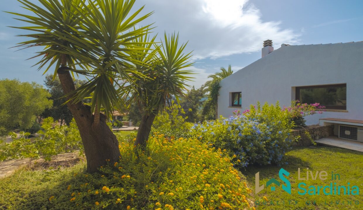 Villa-For-Sale-With-Pool-Sardinia