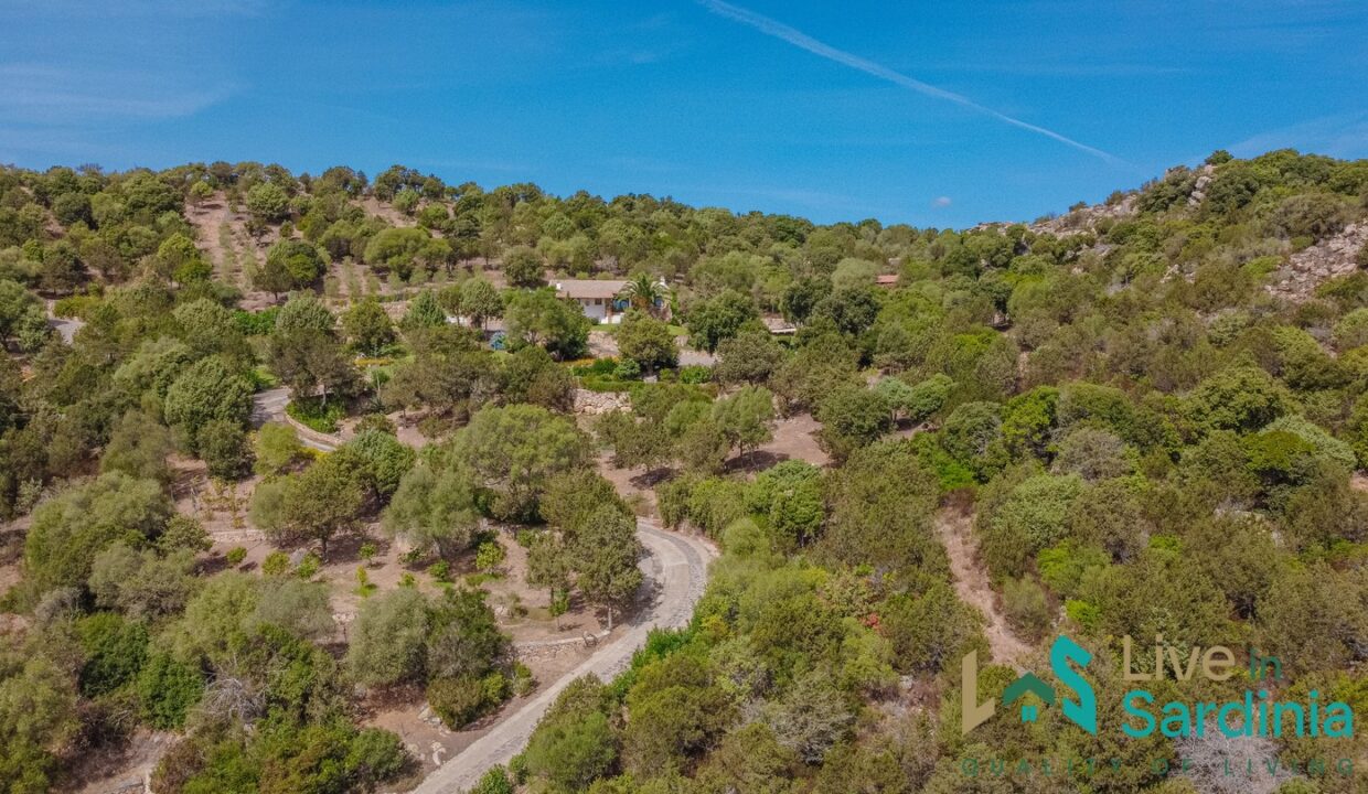 Villa-For-Sale-With-Pool-Sardinia
