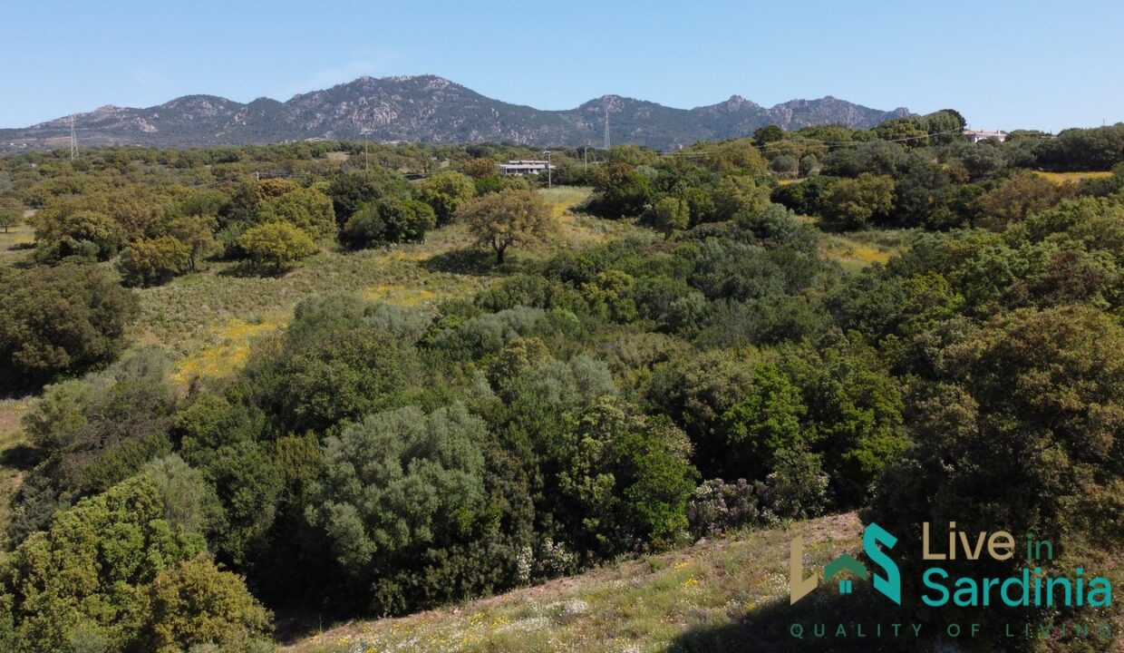 Farmhouse-For-Sale-Olbia