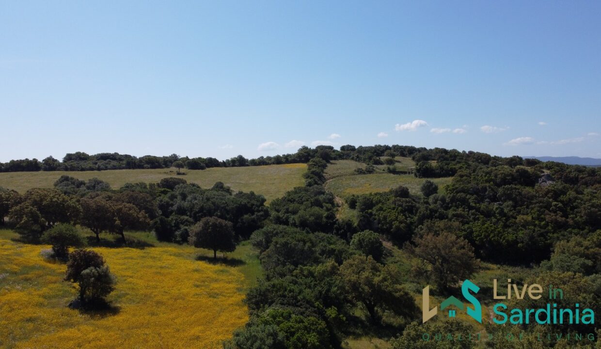 Farmhouse-For-Sale-Olbia
