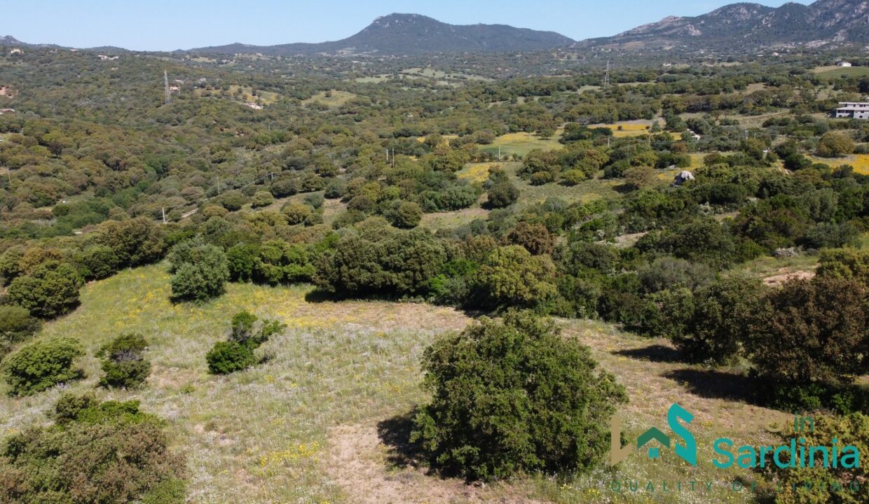 Farmhouse-For-Sale-Olbia