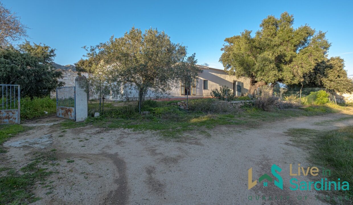 Farmhouse-For-Sale-Olbia