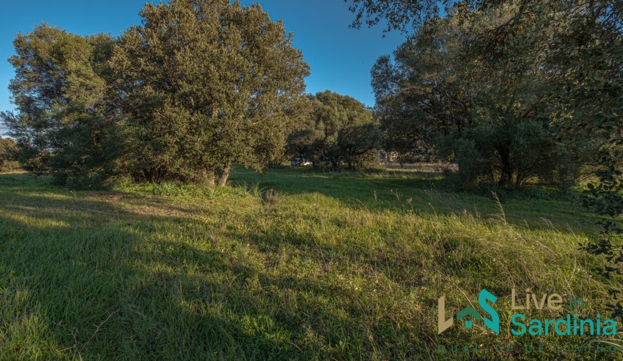 Farmhouse-For-Sale-Olbia
