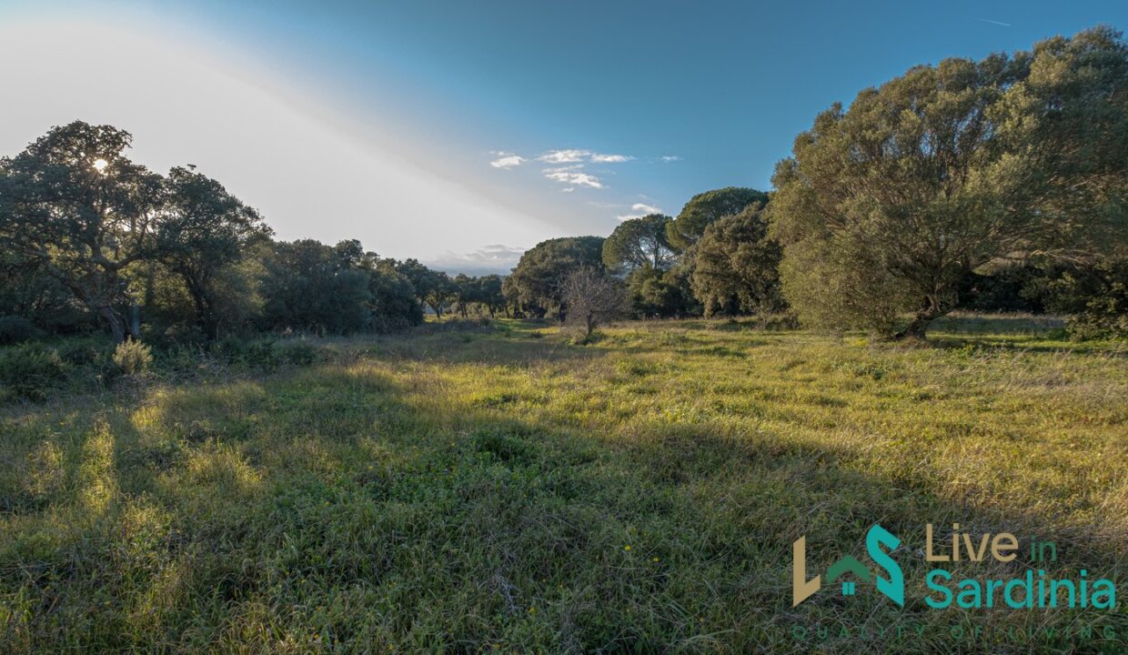 Farmhouse-For-Sale-Olbia