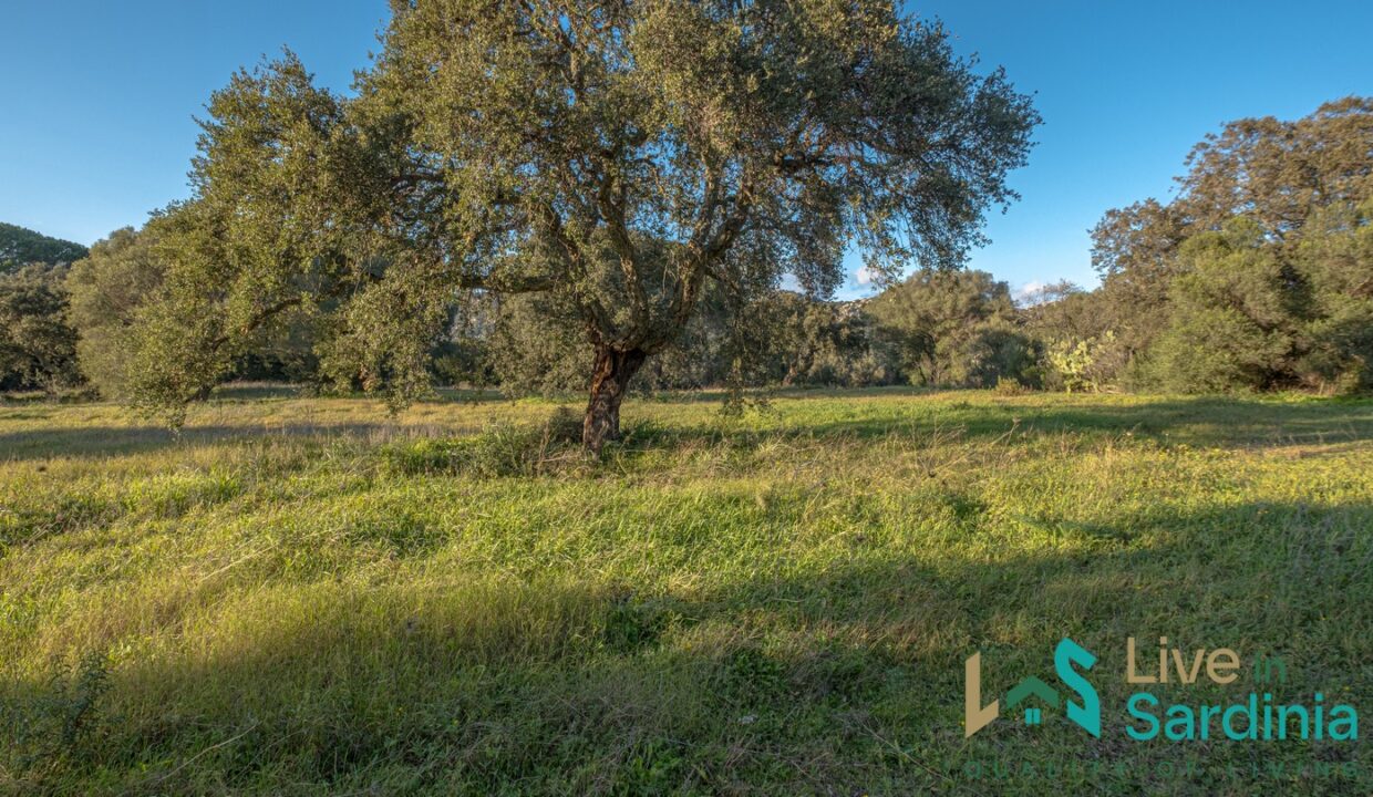 Farmhouse-For-Sale-Olbia