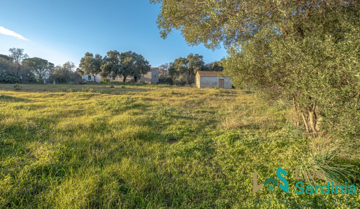 Farmhouse-For-Sale-Olbia