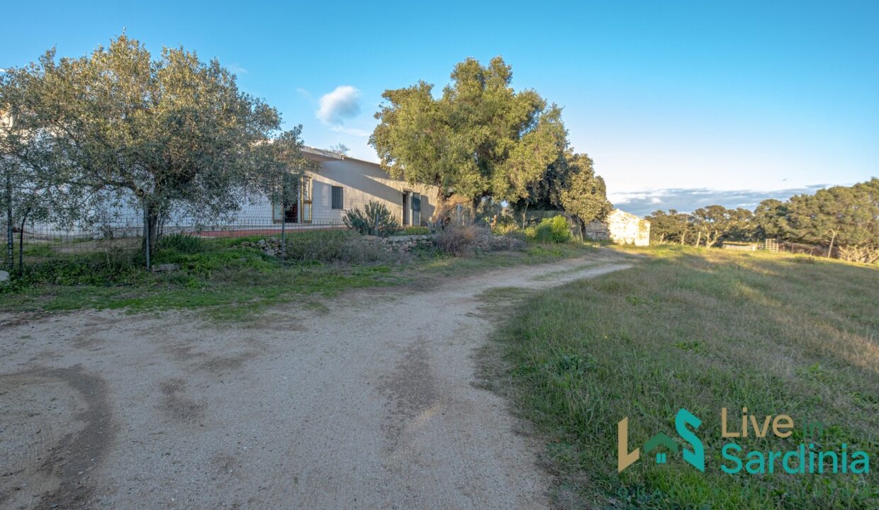 Farmhouse-For-Sale-Olbia