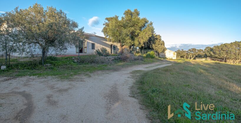 Farmhouse For Sale Olbia