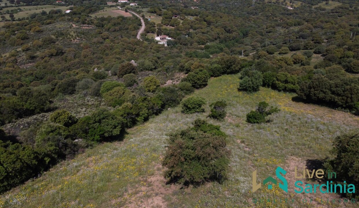 Farmhouse-For-Sale-Olbia