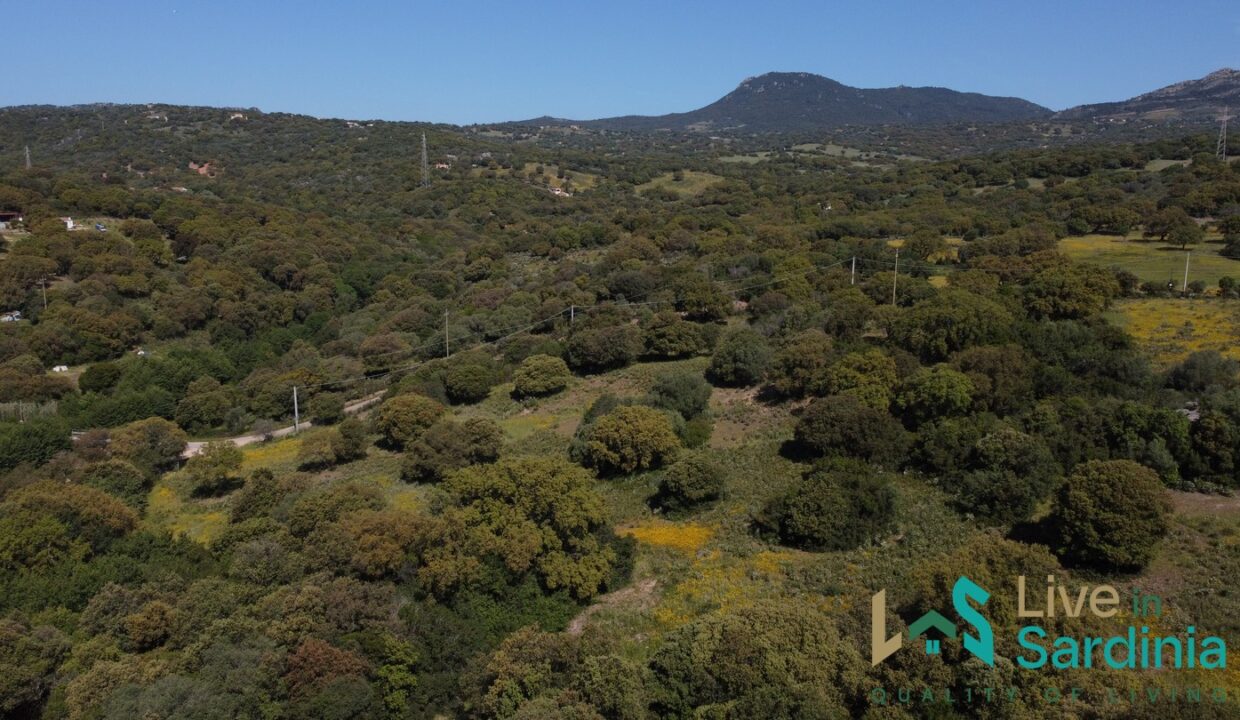 Farmhouse-For-Sale-Olbia