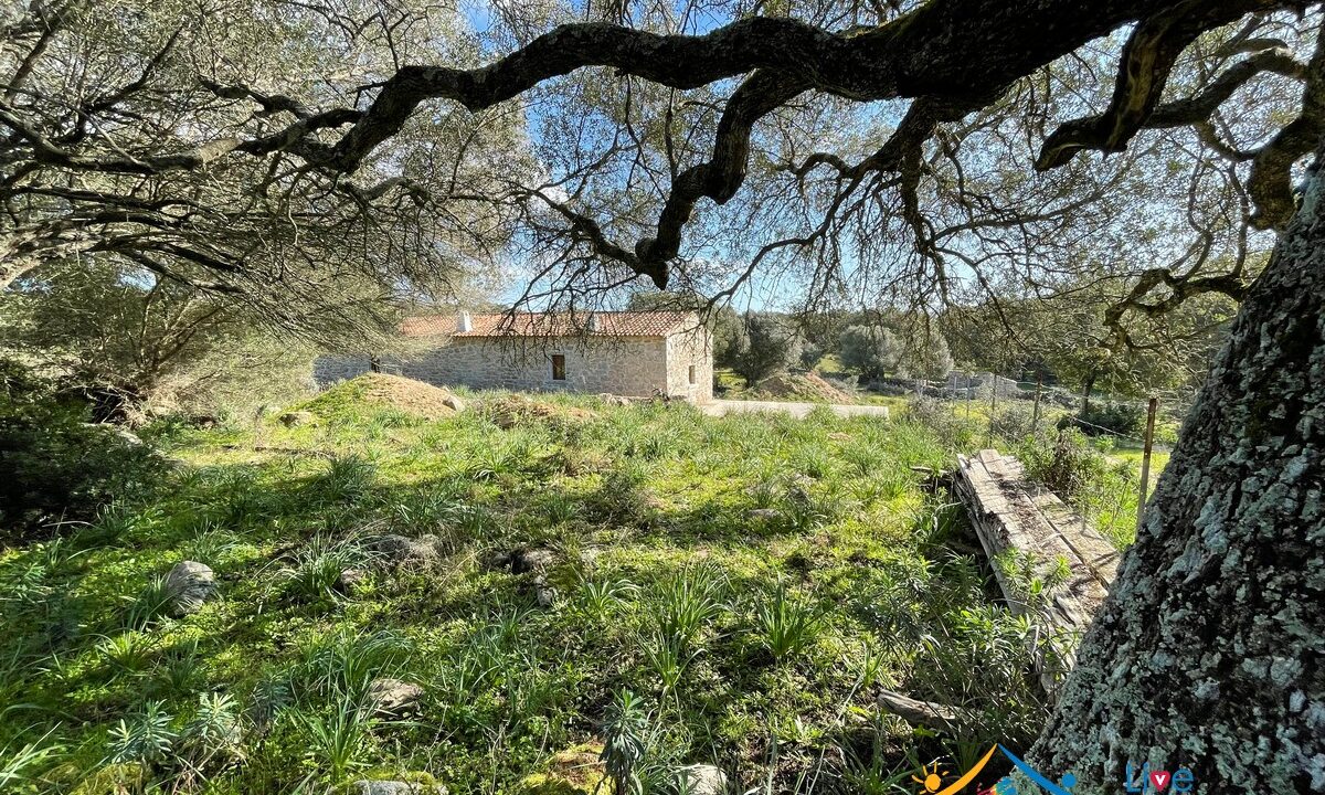 stazzu gallura home