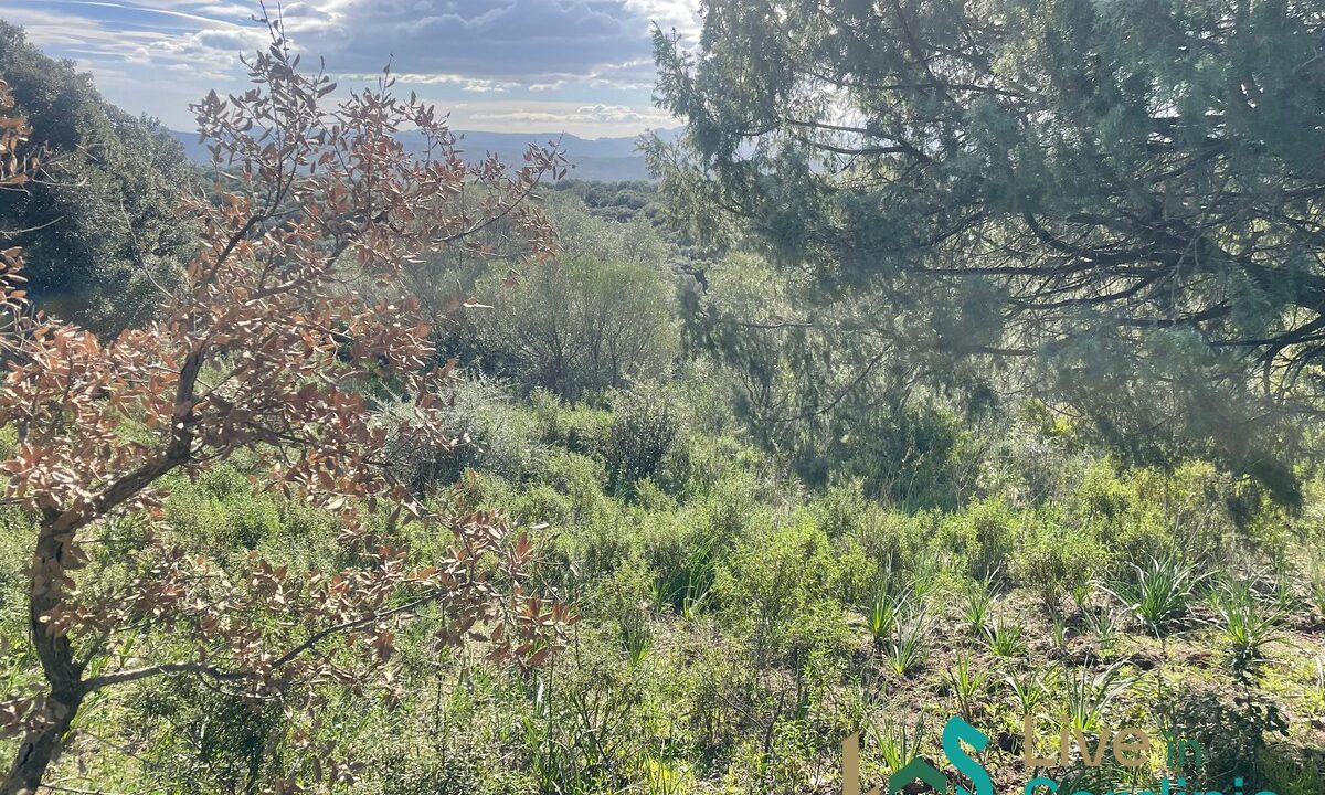 Buildable-Land-For-Sale-Olbia-Sardinia