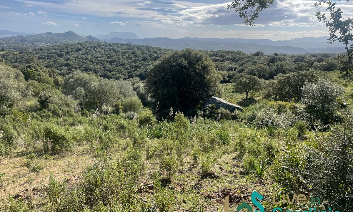 Buildable-Land-For-Sale-Olbia-Sardinia