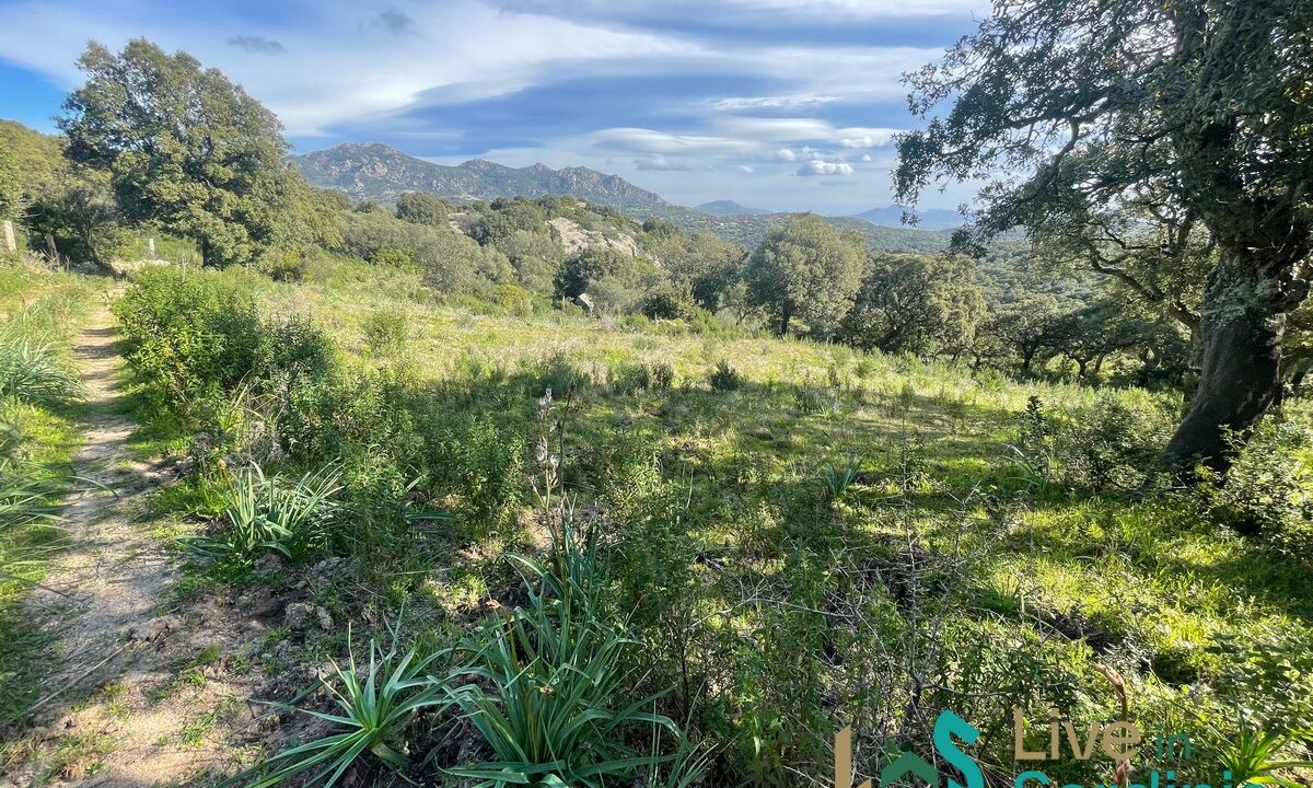 Land-For-Sale-Olbia-Sardinia