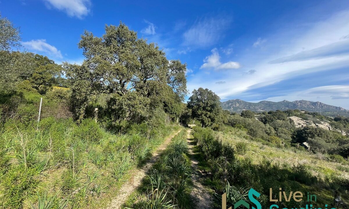Land-For-Sale-Olbia-Sardinia