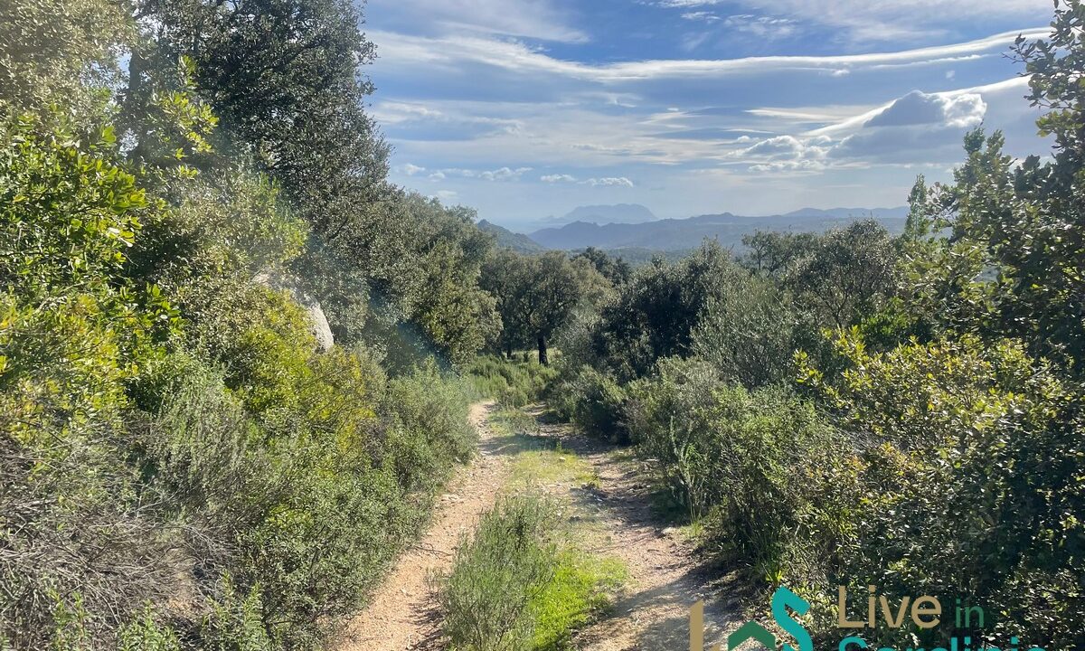 Land-For-Sale-Olbia-Sardinia