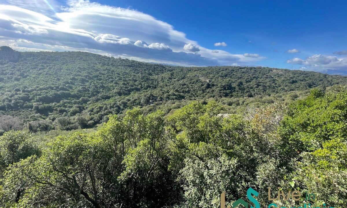 Land-For-Sale-Olbia-Sardinia
