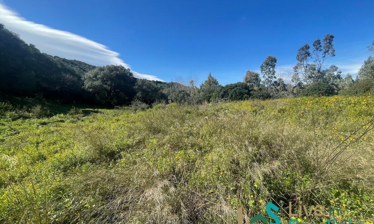 Buildable-Land-For-Sale-Olbia-Sardinia