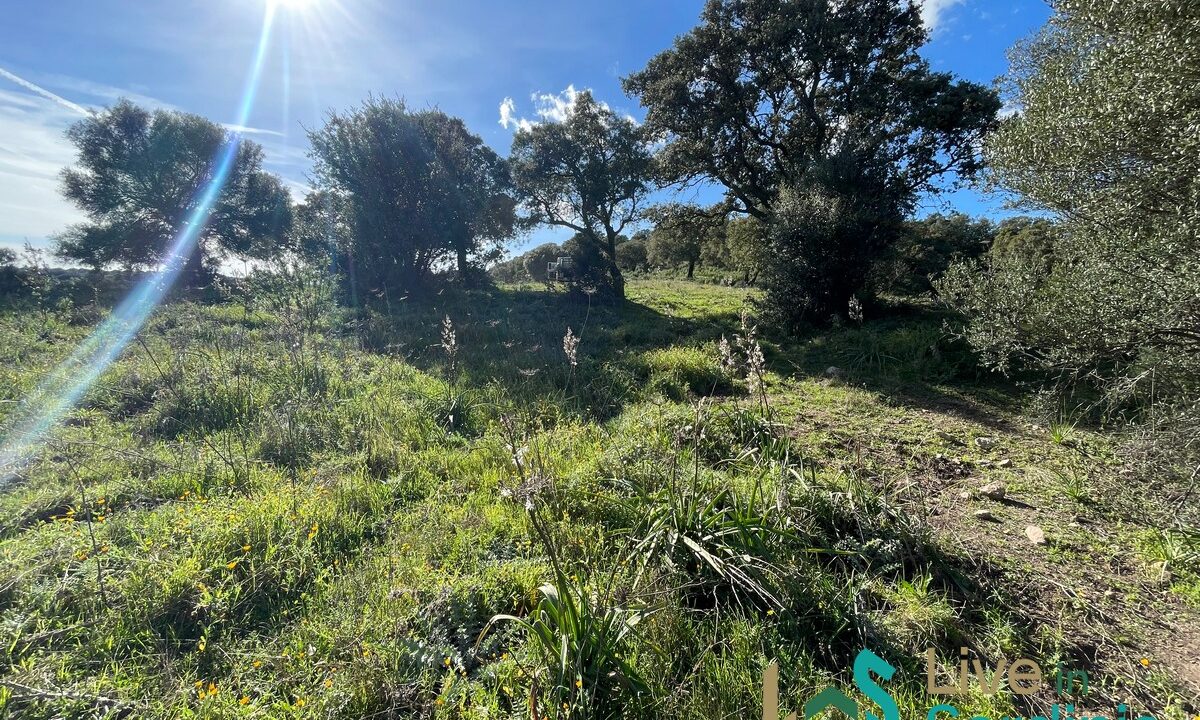 Buildable-Land-For-Sale-Olbia-Sardinia
