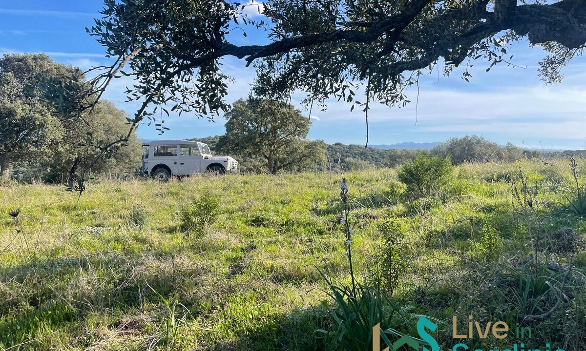 Buildable-Land-For-Sale-Olbia-Sardinia