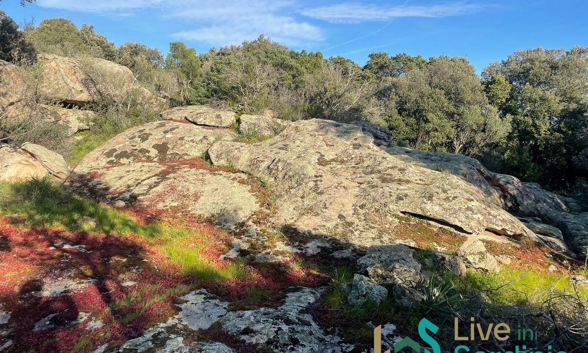 Buildable-Land-For-Sale-Olbia-Sardinia