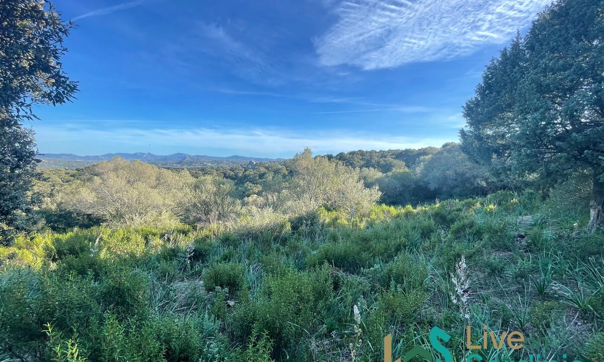 Buildable-Land-For-Sale-Olbia-Sardinia