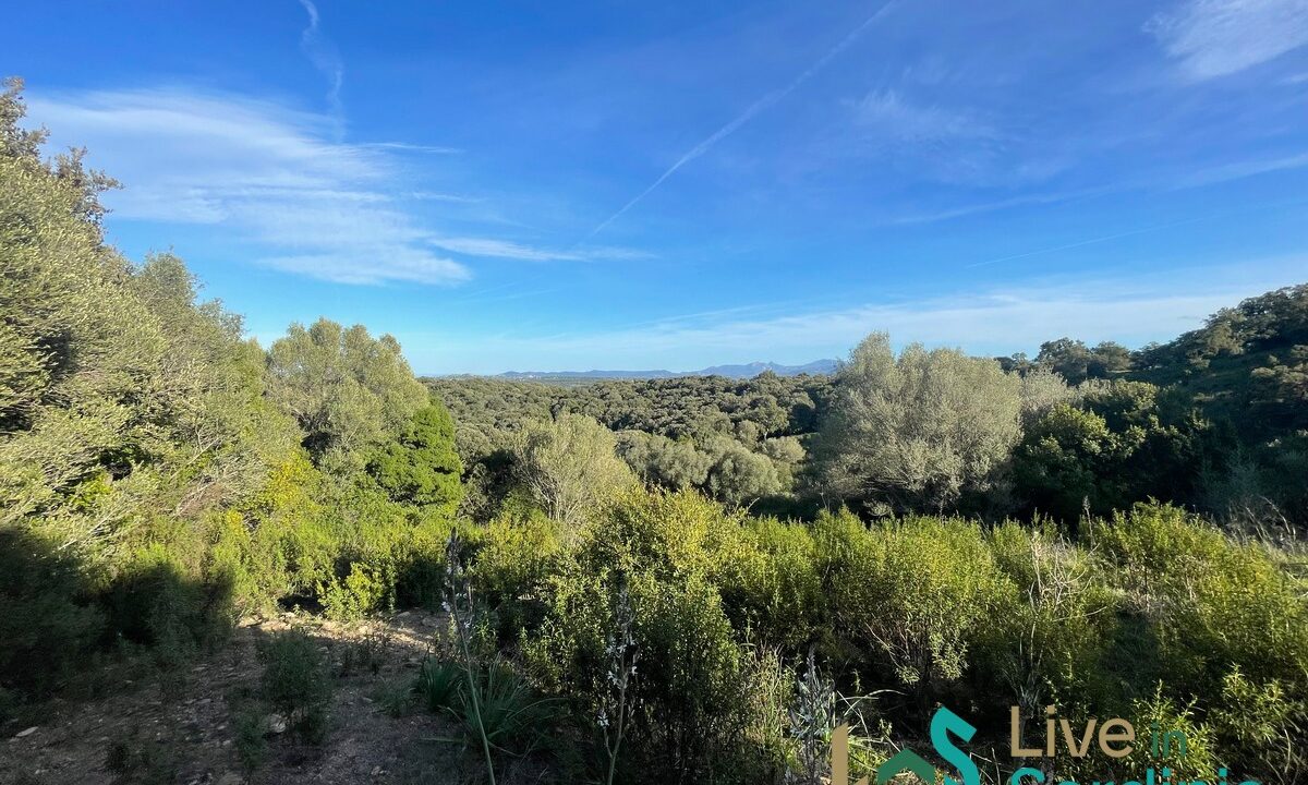 Land-For-Sale-Olbia-Sardinia